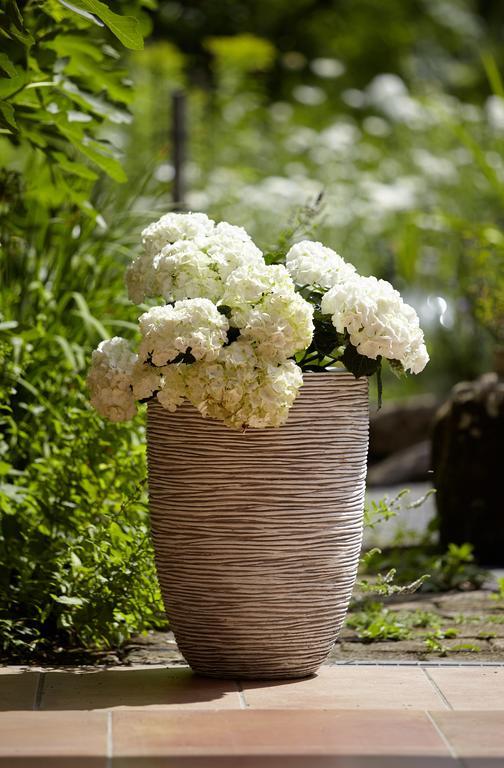 An Der Oelmuehle Kenn ภายนอก รูปภาพ
